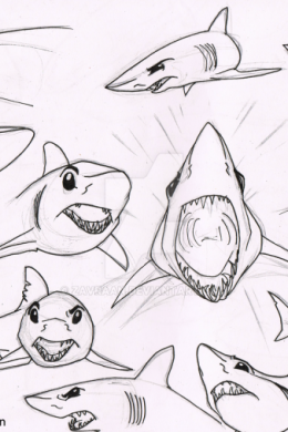 Акулы рисунок для срисовки