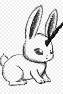 Рисунки кролика для срисовки легкие и красивые