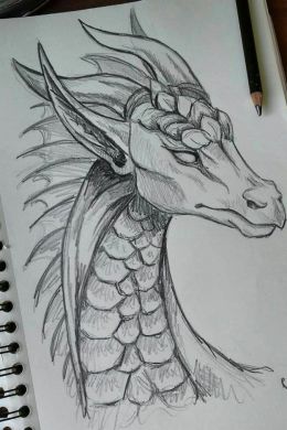 Рисунки легкие драконы для срисовки