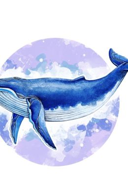 Рисунок кит для детей