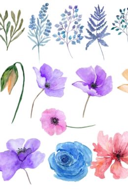 Цветы рисунок красками для детей