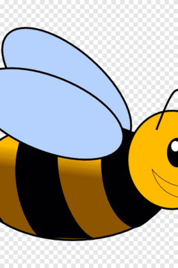 Пчела рисунок для детей