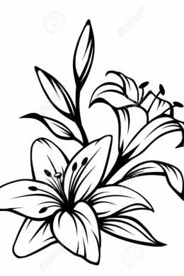 Рисунок лилии для срисовки