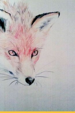 Легкий рисунок лисы для срисовки