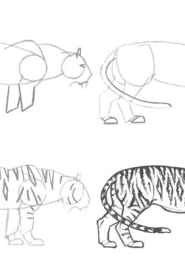 Новогодний тигр рисунок поэтапно