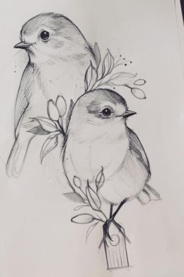 Зарисовки птиц