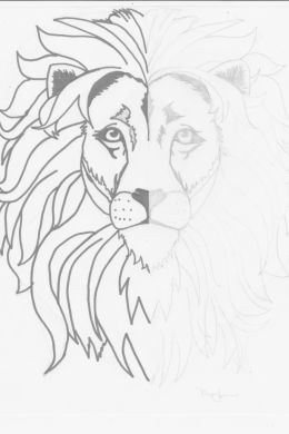 Рисунок льва для детей карандашом