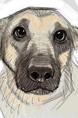 Рисунок карандашом для срисовки легкие собаки