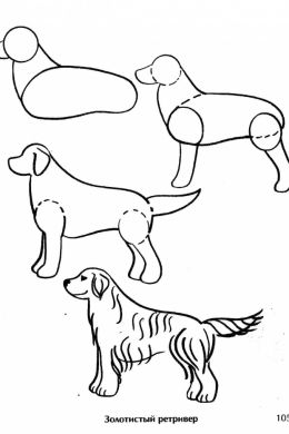 Рисунок собаки поэтапно