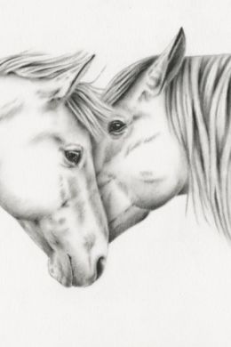 Рисунок карандашом лошадка