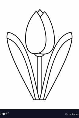 Рисунок тюльпан для детей