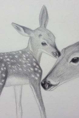 Животные для детей рисунок карандашом