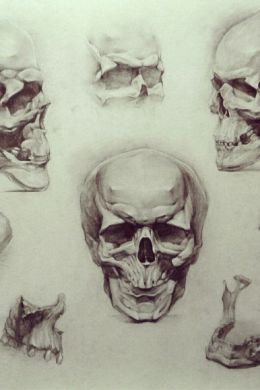 Академический рисунок карандашом череп