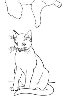 Рисунок карандашом кота детский
