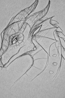 Рисунки драконов для срисовки легкие и красивые