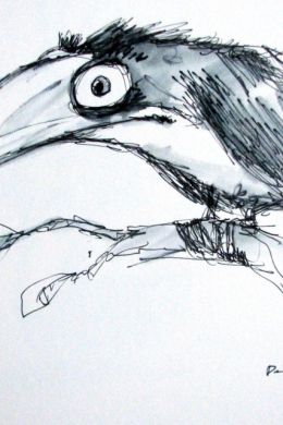 Рисунок ворона для детей карандашом