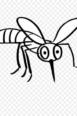 Рисунок комар для детей