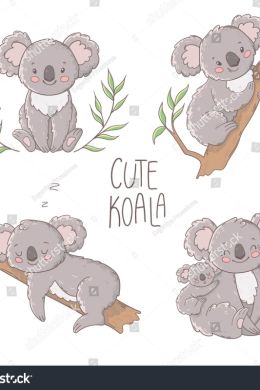 Рисунок коала для детей