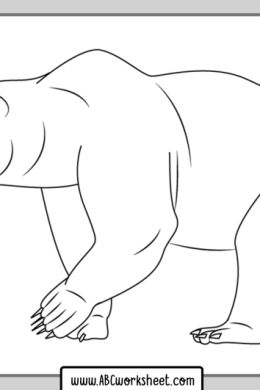 Белый медведь рисунок поэтапно