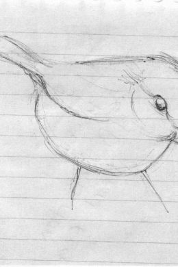 Легкие рисунки птиц