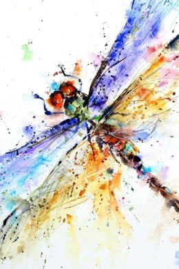 Рисунок стрекоза акварелью