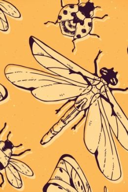 Зарисовки насекомых