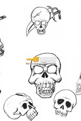 Рисунок карандашом череп человека