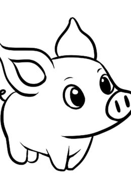 Свинка рисунок для детей