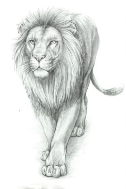 Простой рисунок льва