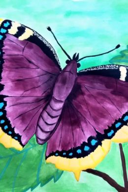 Бабочка рисунок гуашью