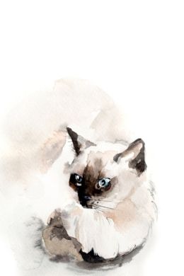 Рисунок кошка акварелью