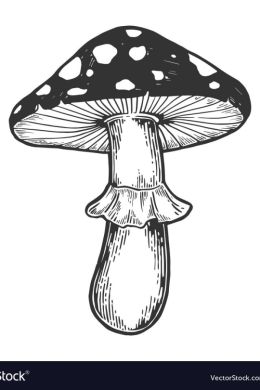 Рисунок грибы для детей