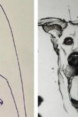 Собаки рисунки легкие карандашом