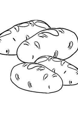 Рисунок картофель для детей