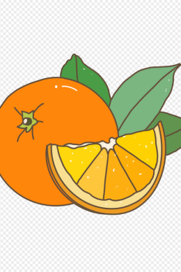 Рисунок апельсин для детей