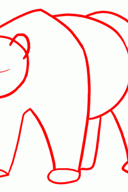 Медведь рисунок карандашом легкий для детей