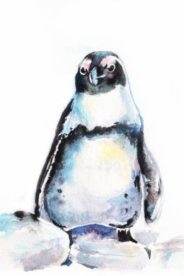 Рисунок пингвина гуашью
