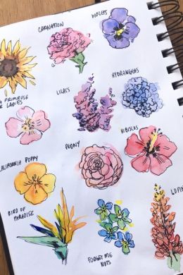 Красивые зарисовки цветов