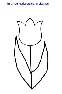 Легкий рисунок тюльпана