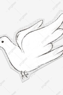 Рисунок голубь для детей поэтапно