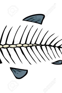 Скелет рыбы рисунок для детей