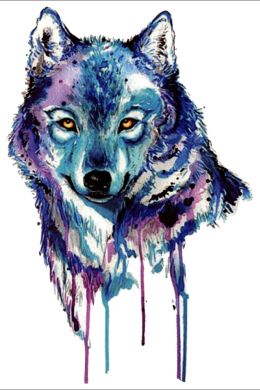 Легкие рисунки волка