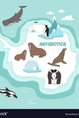 Рисунок для детей антарктида