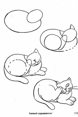 Рисунок котенка поэтапно