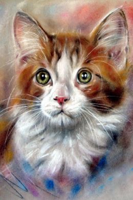 Рисунок кот акварелью