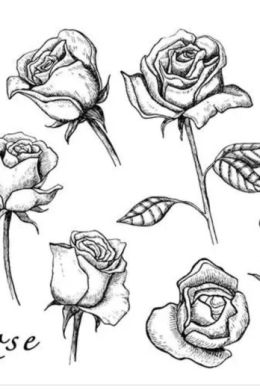 Роза рисунок простая