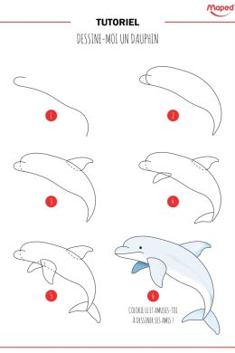 Рисунок поэтапно для детей дельфин