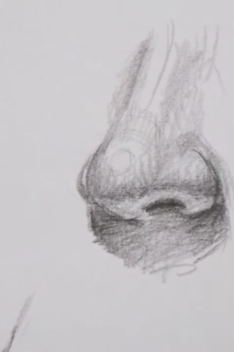 Рисунок нос карандашом поэтапно