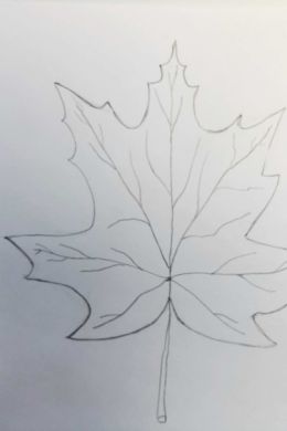 Кленовый лист простой рисунок