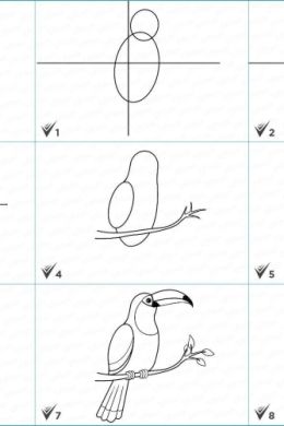 Птичка рисунок для детей поэтапно